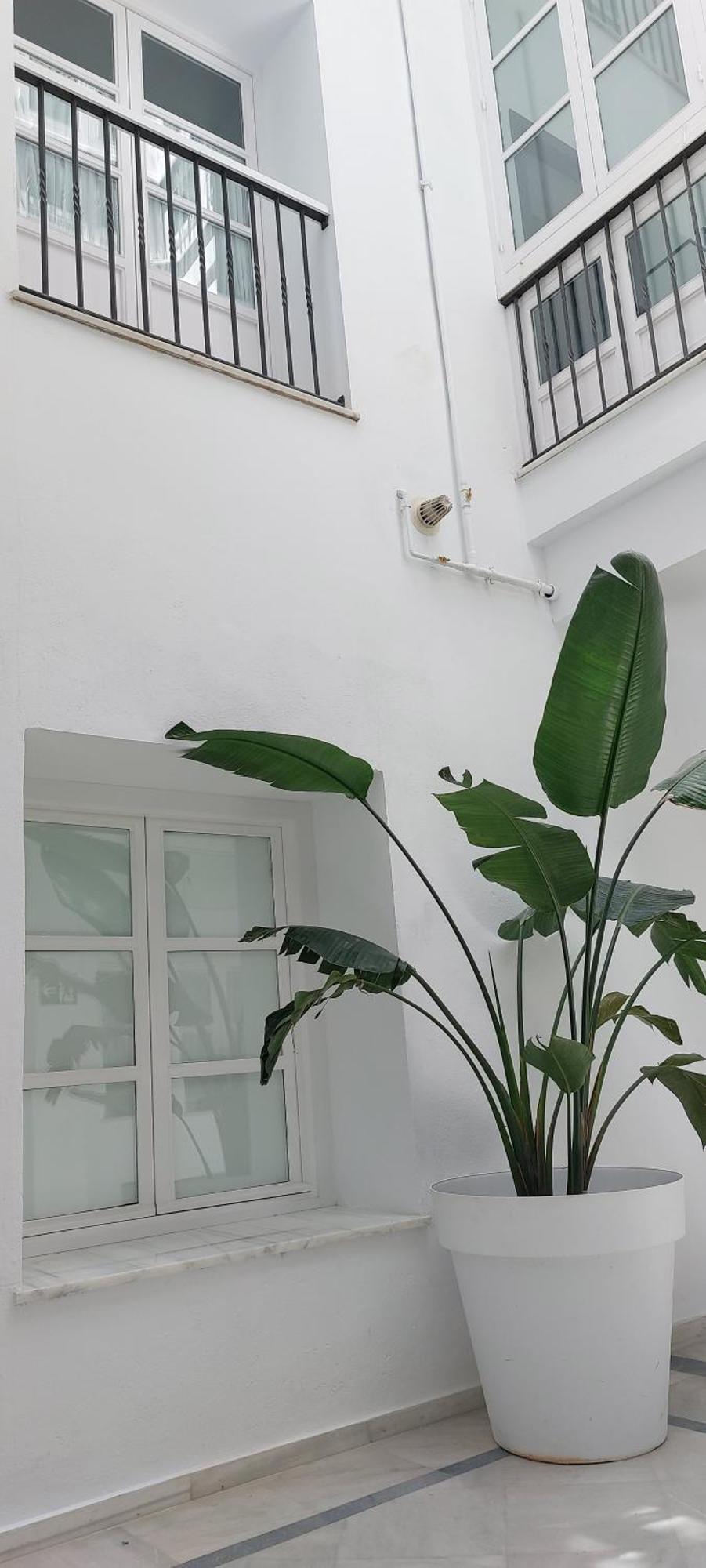 El 2 De Flamenco 2ºa Apartment Cadiz Exterior photo